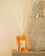 Coffret Papaïa Hibiscus Bâtonnets 1500 ml Vase Transparent - Tfu