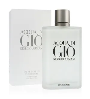 Giorgio Armani Acqua di Gio Pour Homme eau de toilette pour homme 200 ml