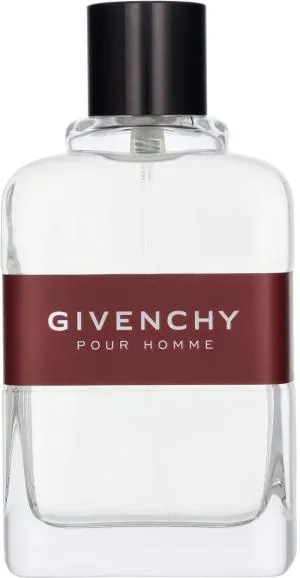 Givenchy Pour Homme eau de toilette pour homme 100 ml