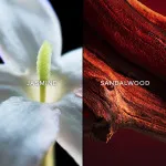 Samsara eau de parfum pour femmes 75 ml