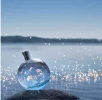 Eau des Merveilles Bleue eau de toilette pour femmes 100 ml