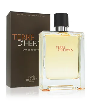 Hermes Terre d'Hermes eau de toilette pour hommes 100 ml