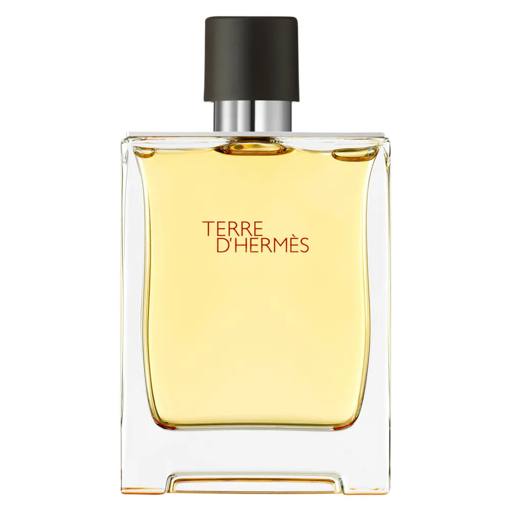 Terre d'Hermes Parfum parfum pour homme 200 ml
