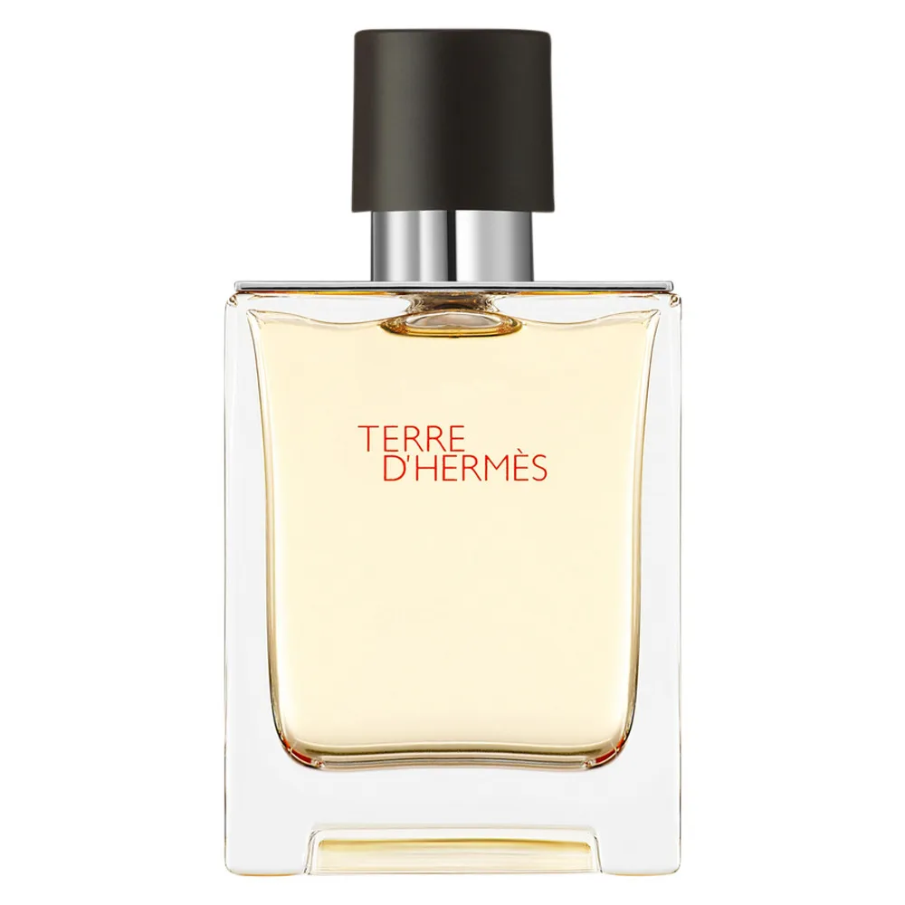Terre d'Hermes eau de toilette pour homme 50 ml