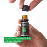 Incognito Huile essentielle de citronnelle BIO (10 ml) - ne sent pas les insectes difficiles