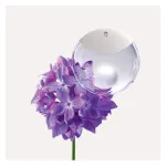 A Drop d'Issey eau de parfum 50 ml pour femme