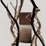 L'Eau d'Issey Pour Homme Wood&Wood eau de parfum pour homme 100 ml