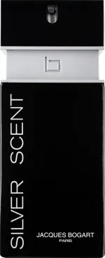 Silver Scent eau de toilette pour homme 100 ml