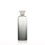 Power eau de toilette pour homme 75 ml