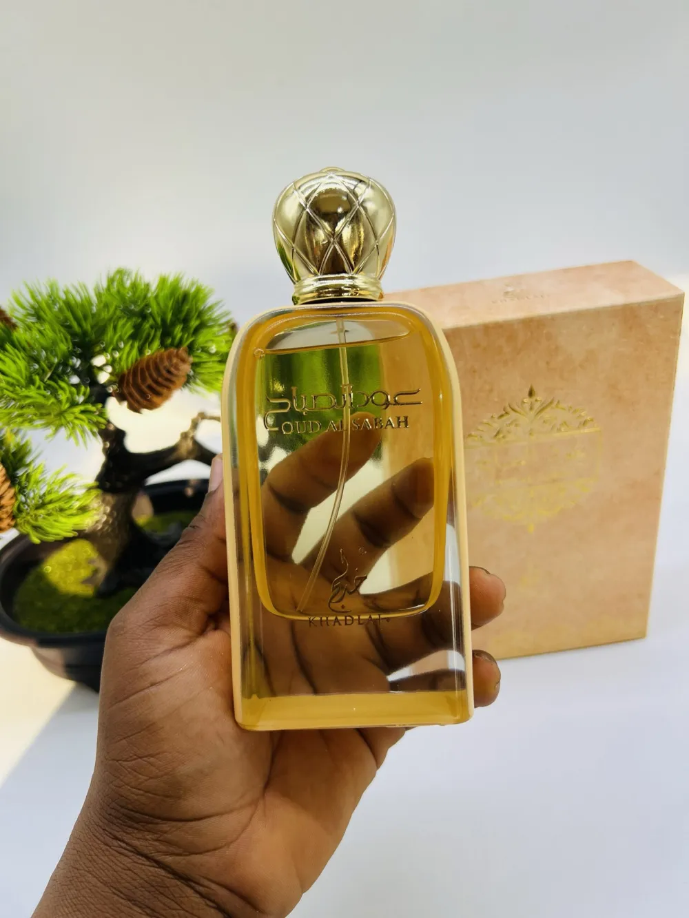 Oud Al Sabah eau de parfum unisexe 100 ml