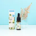 Kvitok Sérum pour la peau - Collagène végétal (10 ml) - lisse et améliore l'élasticité