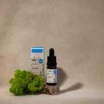 Kvitok Sérum pour le visage - Thé vert (10 ml) - effets antioxydants et anti-inflammatoires