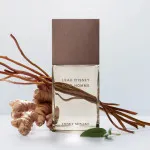 L'Eau d'Issey Pour Homme Vétiver Intense eau de toilette pour homme 100 ml