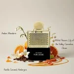 Rave Pure Desire Gold W Eau de Parfum 100 ml