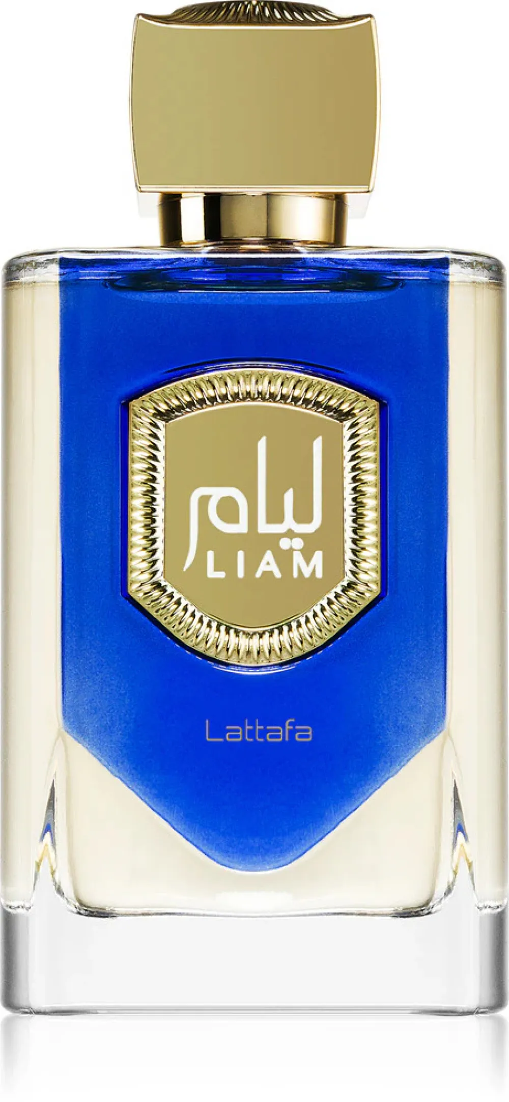 Liam Blue Shine eau de parfum unisexe 100 ml