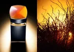 Le Gemme Ambero Eau de Parfum pour homme 100 ml