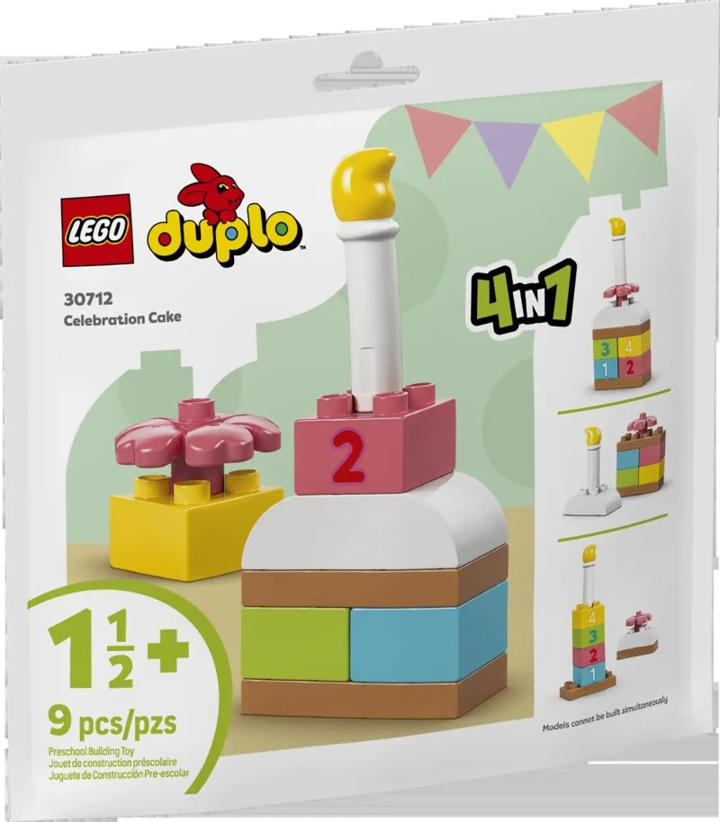 30712 Gâteau de fête