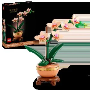 LEGO® Botanicals 10343 Orchidée miniature