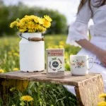 LEROS Tisane Détox aux plantes - sachets d’infusion (20 x 1,5 g) - pour purifier l’organisme