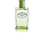 Les Infusions de Vétiver eau de parfum unisexe 100 ml
