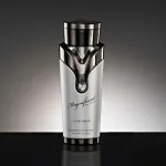 Magnificent Pour Homme eau de parfum pour homme 100 ml