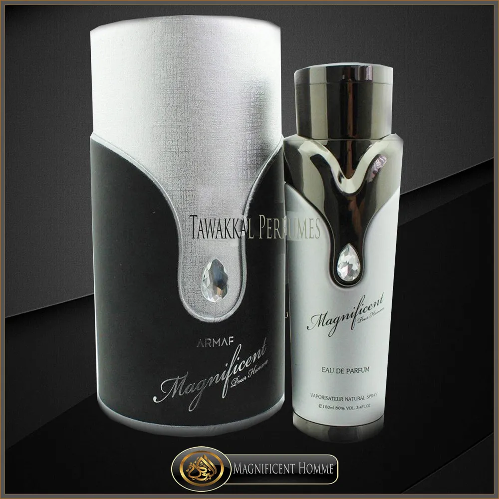 Magnificent Pour Homme eau de parfum pour homme 100 ml