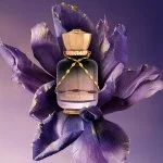 Date Night Eau de Parfum Unisexe 100 ml