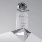 Silver Elixir eau de parfum unisexe 100 ml