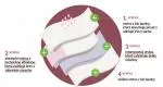 Organyc Culotte menstruelle en coton biologique - ultra absorbante L