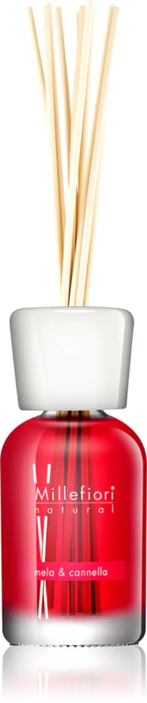 Millefiori Diffuseur de parfum Millefiori Mela & Cannella pour hommes