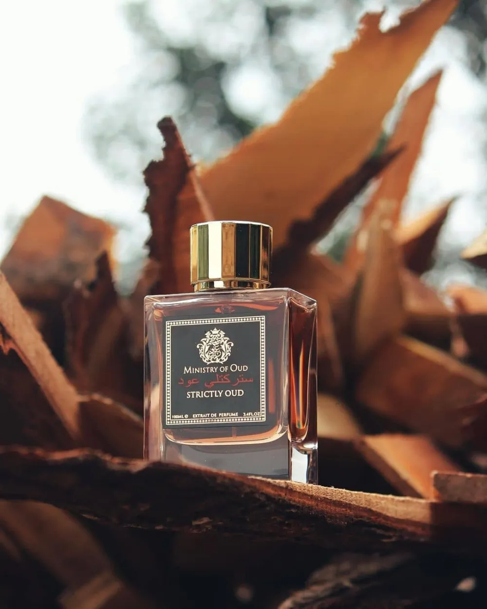 Strictly Oud extrait de parfum unisexe 100 ml