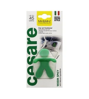 Mr&Mrs Fragrance Cesare Warm Spicy parfum de voiture vert