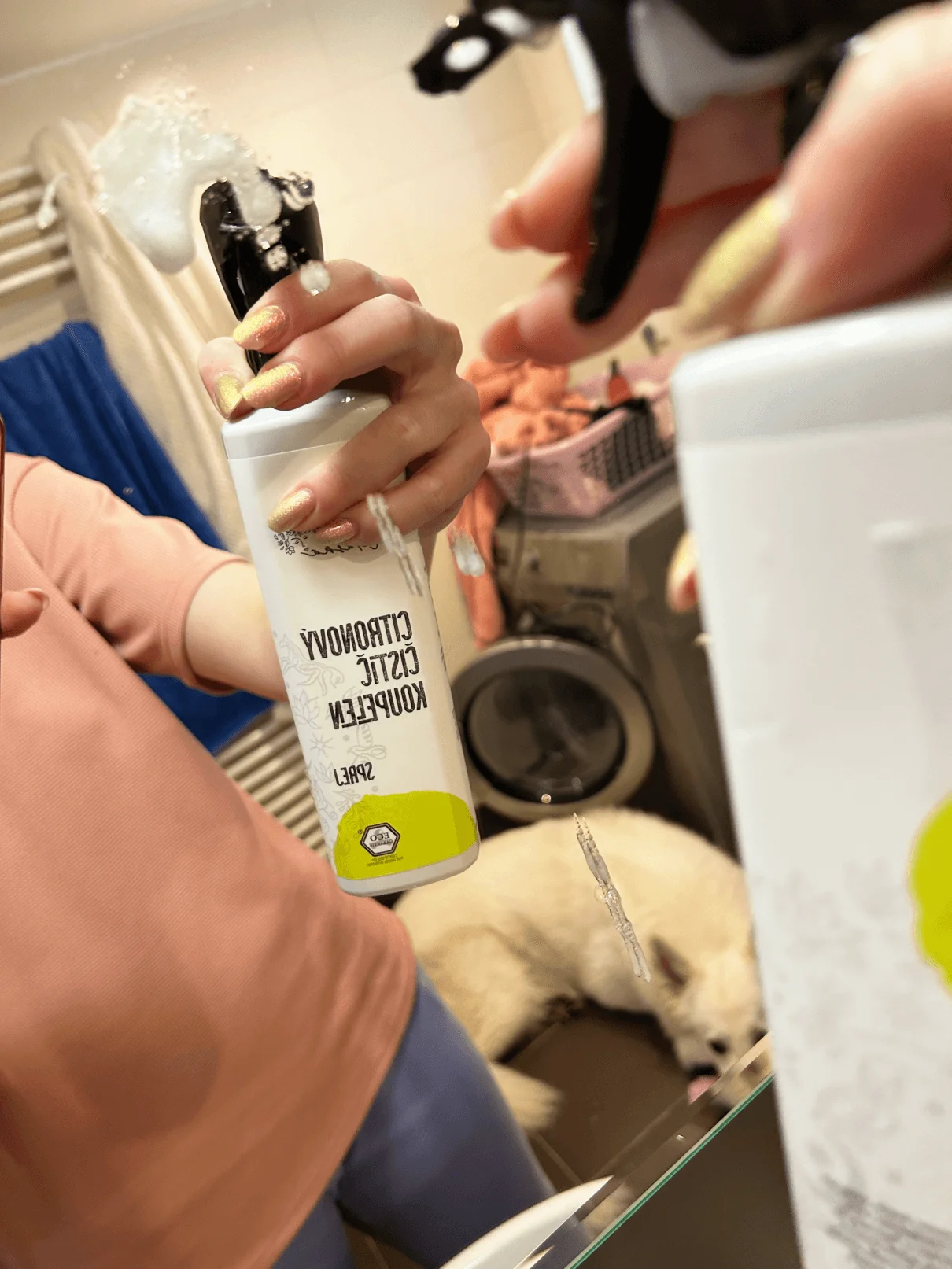 Natasha Nettoyant pour salle de bains au citron - spray (500 ml) - adapté aux foyers avec une eau dure
