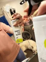 Natasha Nettoyant pour salle de bains au citron - spray (500 ml) - adapté aux foyers avec une eau dure