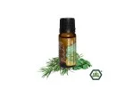 Natasha Mélange d'huiles essentielles (10 ml) - Inspiration et concentration