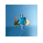 Voyage eau de toilette pour homme 100 ml