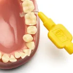 Original brossettes interdentaires 0,7 mm 8 pièces