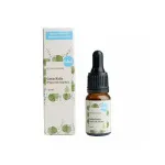 Kvitok Sérum visage - Gotu Kola (ombilical asiatique) 10ml