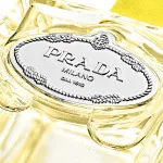 Infusion d'Ylang eau de parfum unisexe 100 ml