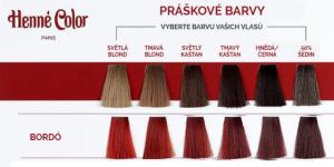 Teinture en poudre pour cheveux 100g Bordeaux