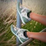 Inkkas Prickly Jogger