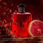 Polo Red eau de toilette pour homme 125 ml