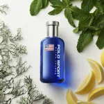 Polo Sport eau de toilette pour hommes 75 ml