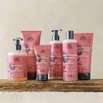 Urtekram Shampooing à la rose sauvage 500ml BIO