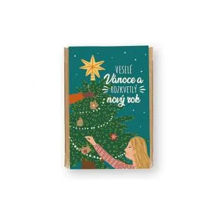 Blossombs Bombes de graines - Mini coffret - Noël magique (4 pièces)