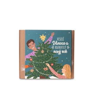 Bombes de graines - Coffret moyen - Joyeux Noël (9 pièces)