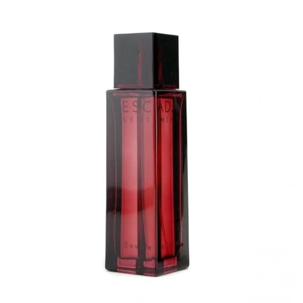 Sentiment pour Homme eau de toilette pour homme 100 ml