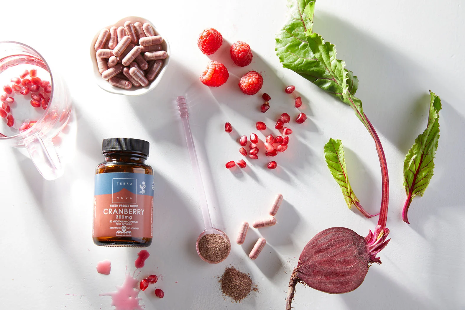 Terranova Health Canneberges lyophilisées 300 mg BIO (50 gélules) - avec des antioxydants