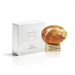 Hidden Shades eau de parfum unisexe 75 ml