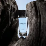 Touch for Men eau de toilette pour homme 100 ml